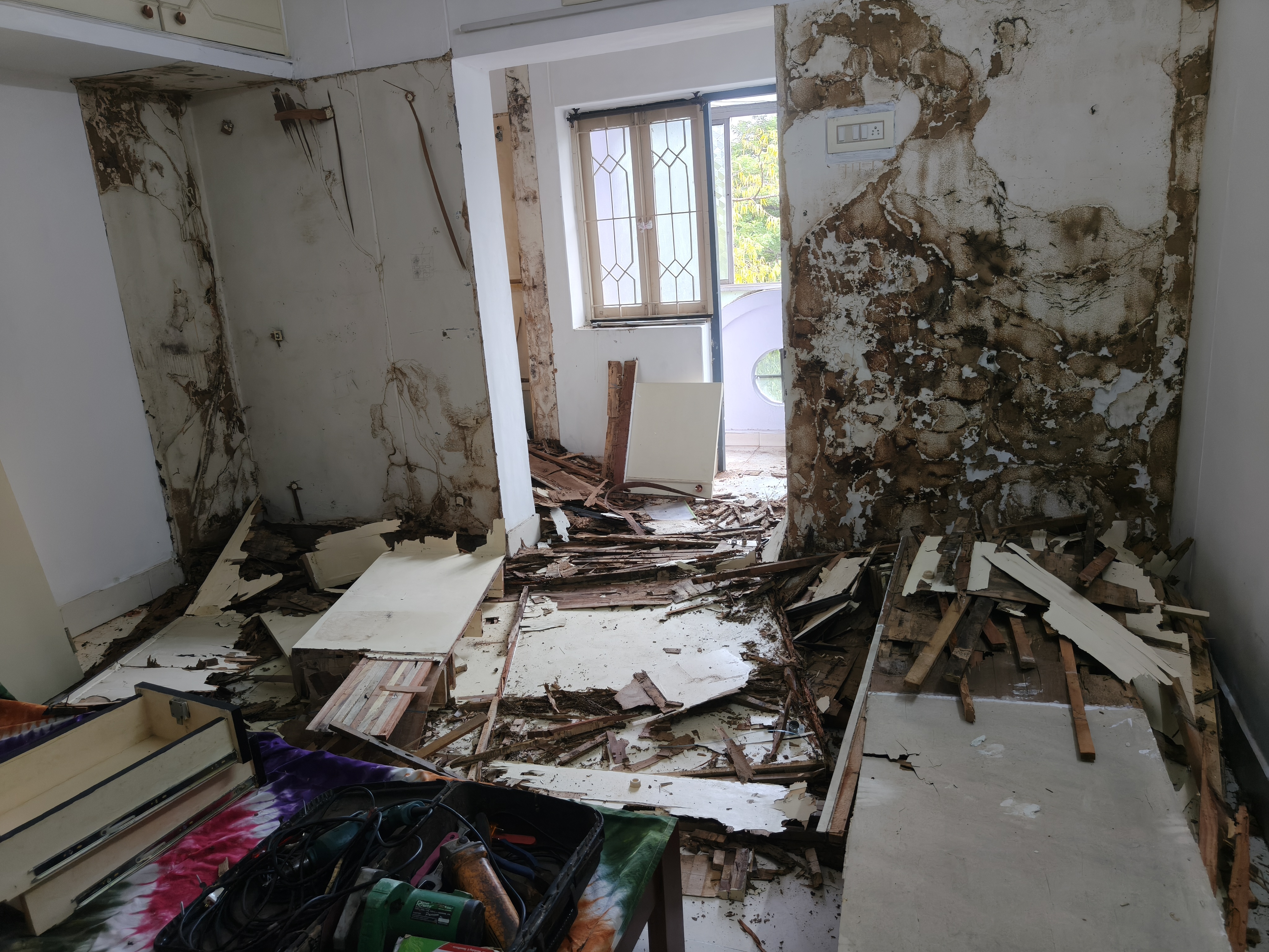 Bed Bug Pest Control Services in West Mambalam