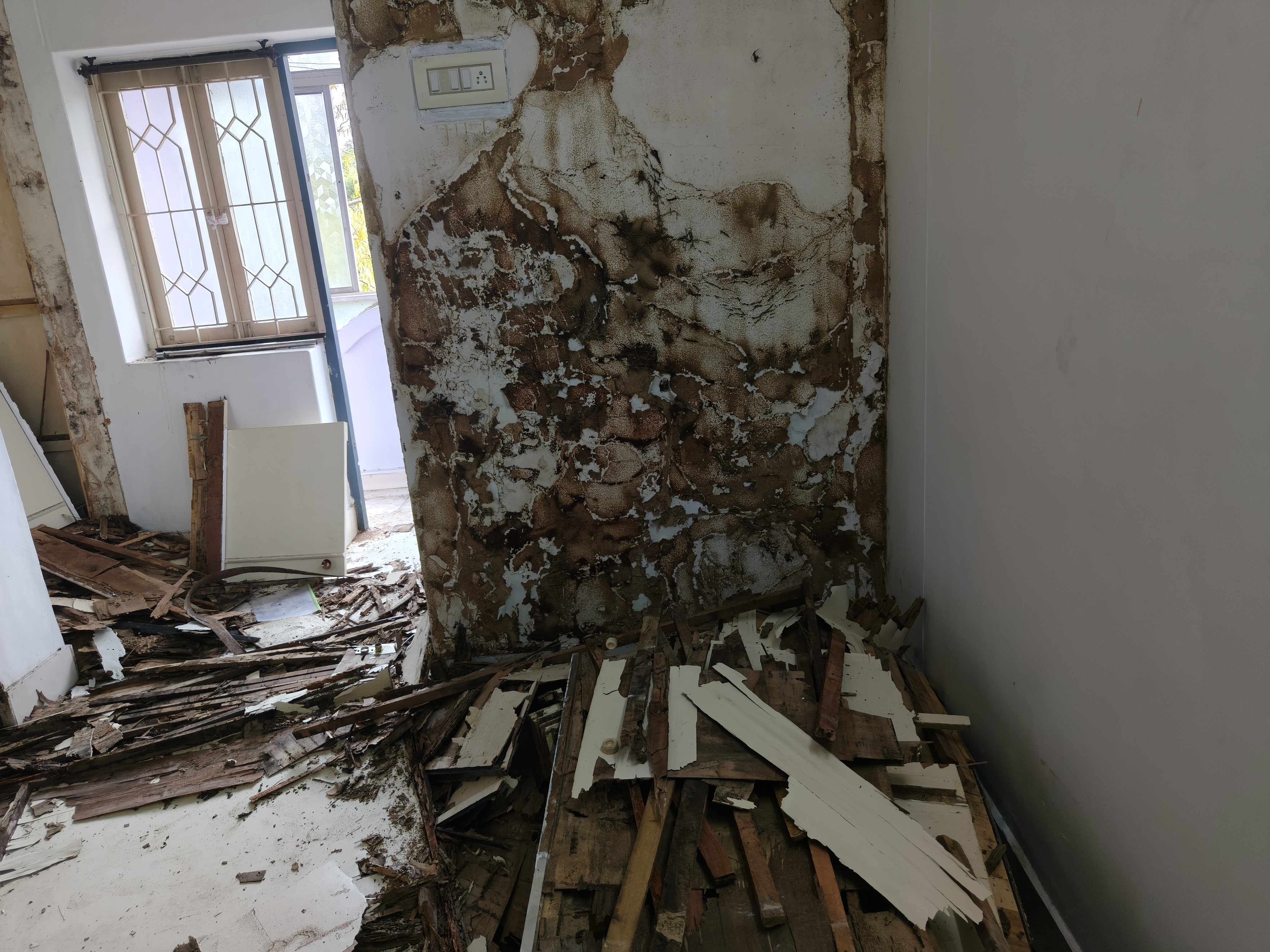 Cockroach Pest Control Services in West Mambalam