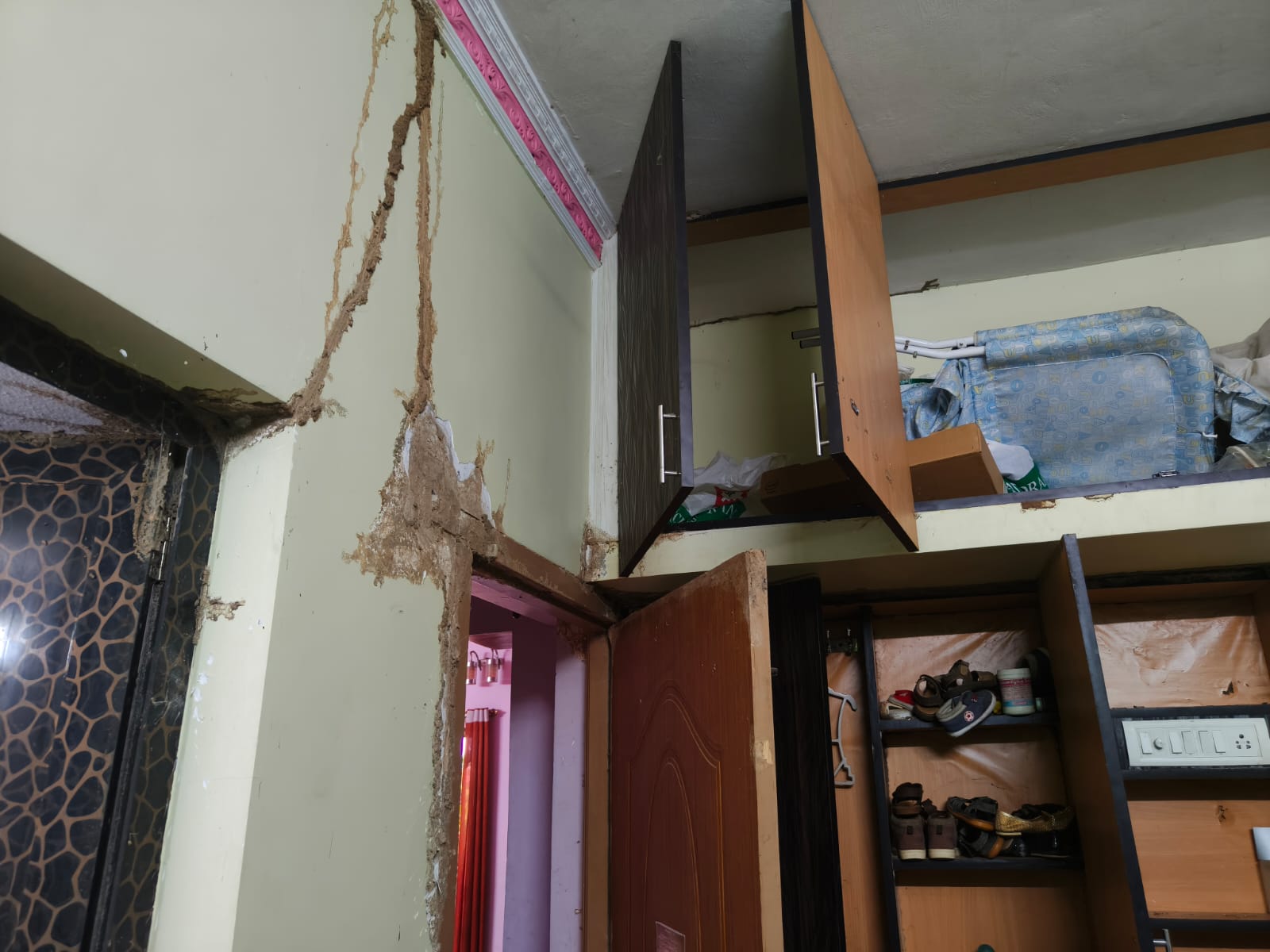 Termite Pest Control Services in West Mambalam