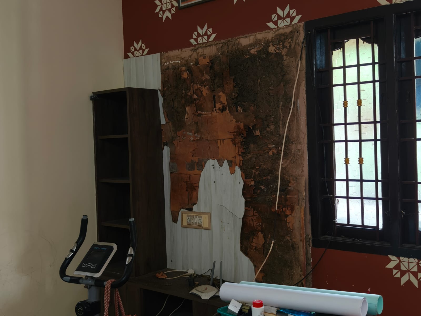 Ant Pest Control Services in West Mambalam