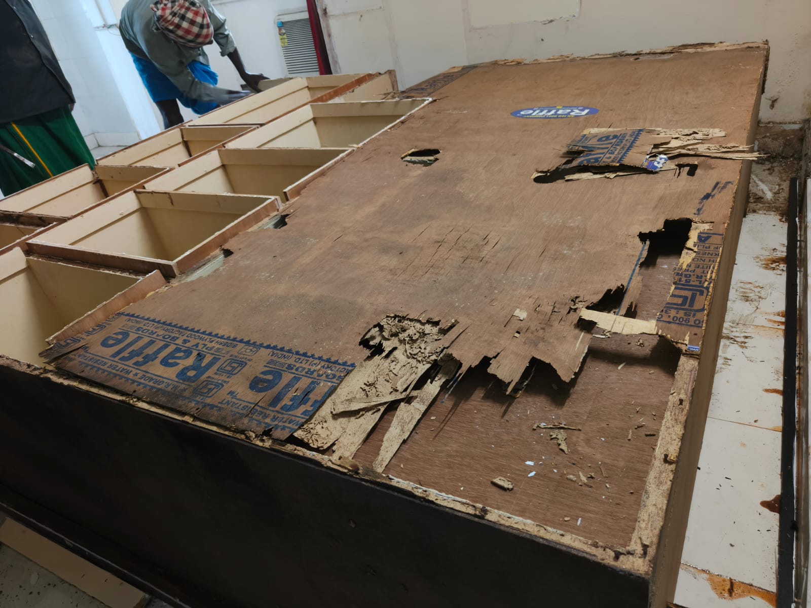 Mosquito Control Services in West Mambalam