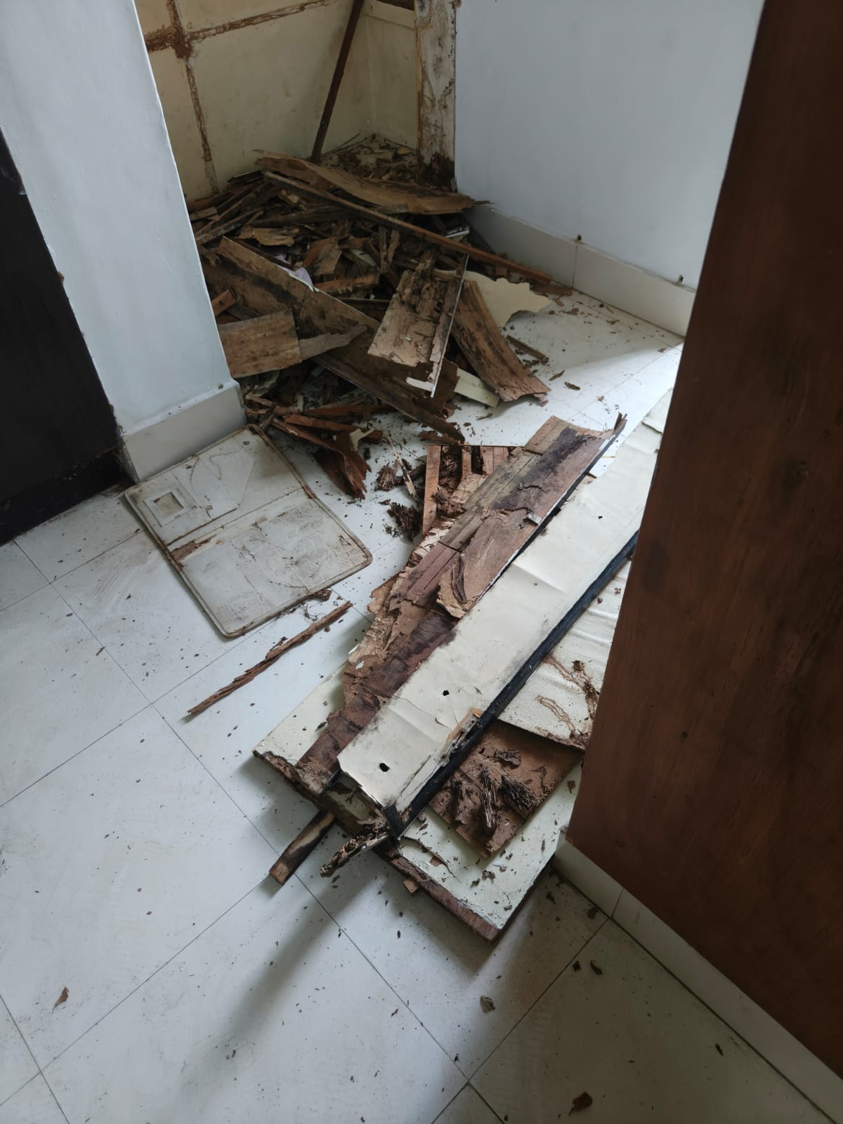 Cockroach Control Services in West Mambalam