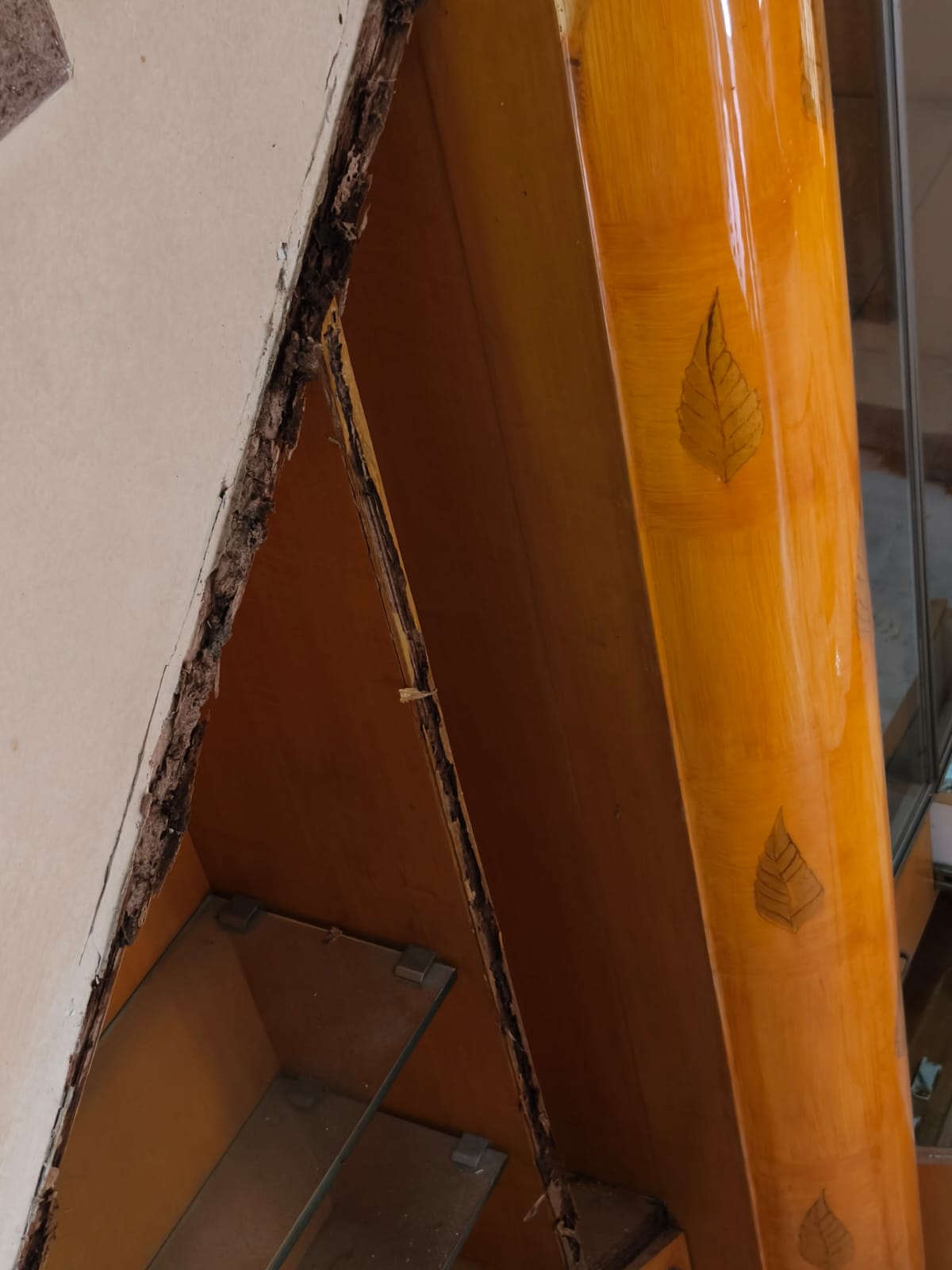 Ant Pest Control Services in West Mambalam